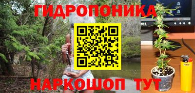 СК Кинель