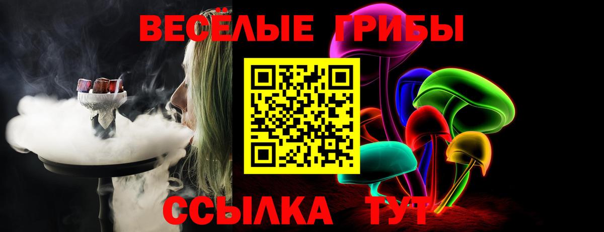 Псилоцибиновые грибы прущие грибы  Вход с VPN  Галлюциногенные грибы мицелий  Бутурлиновка 